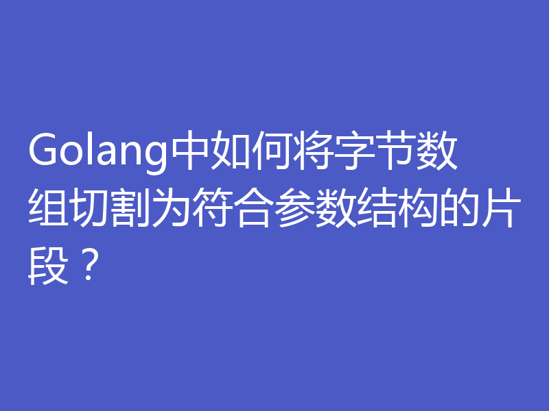 Golang中如何将字节数组切割为符合参数结构的片段？