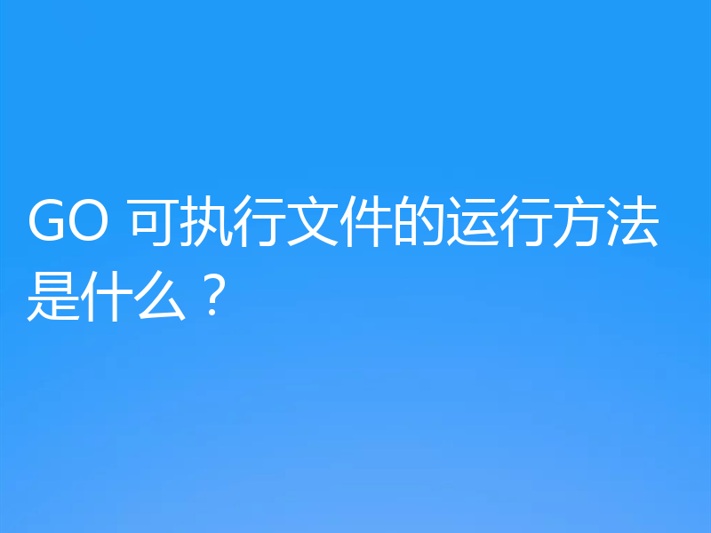 GO 可执行文件的运行方法是什么？