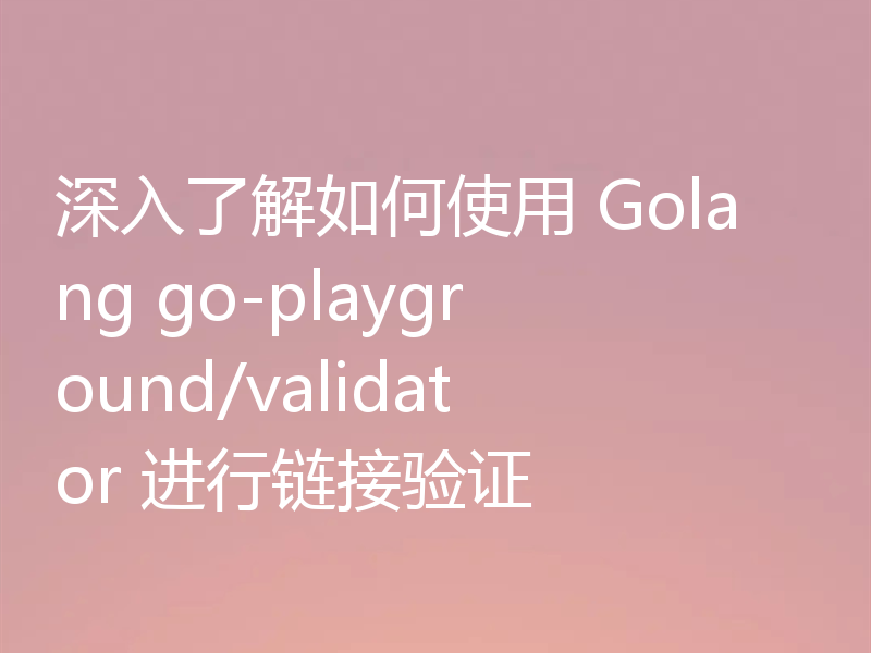 深入了解如何使用 Golang go-playground/validator 进行链接验证