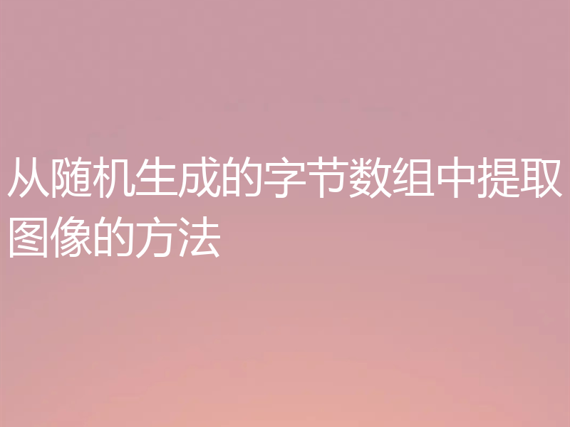 从随机生成的字节数组中提取图像的方法