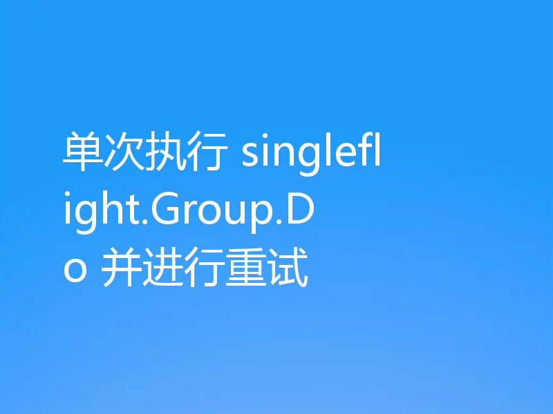 单次执行 singleflight.Group.Do 并进行重试
