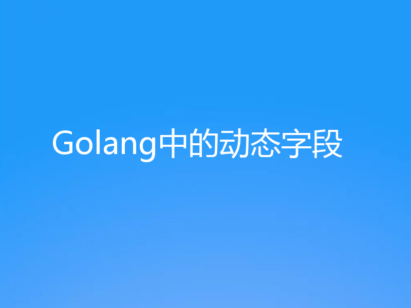 Golang中的动态字段