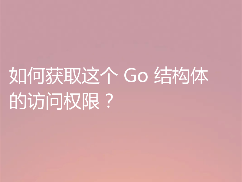 如何获取这个 Go 结构体的访问权限？