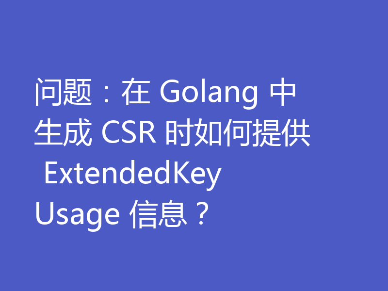 问题：在 Golang 中生成 CSR 时如何提供 ExtendedKeyUsage 信息？