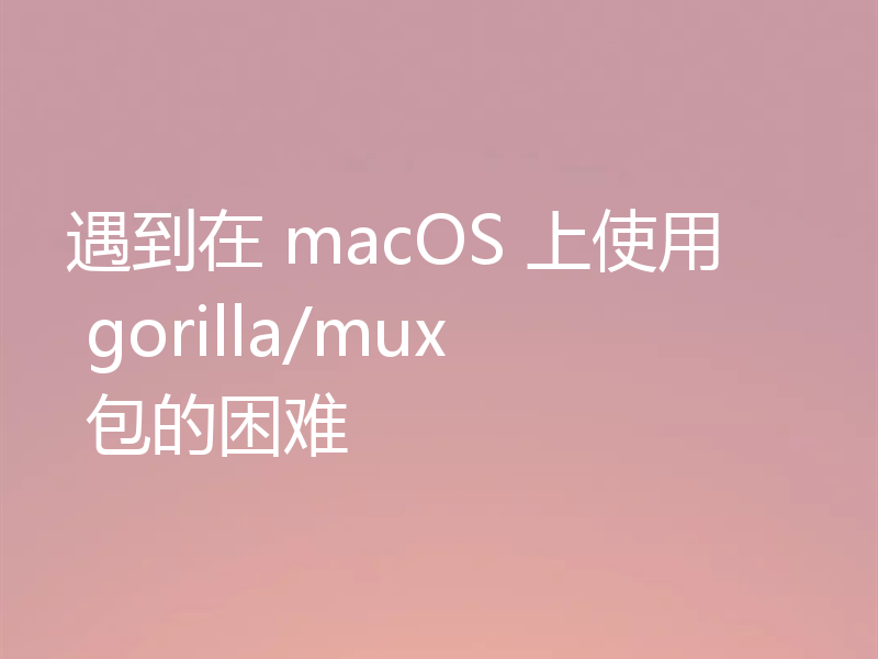 遇到在 macOS 上使用 gorilla/mux 包的困难