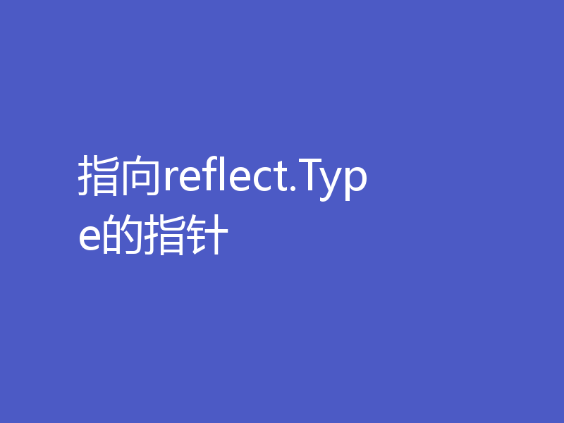指向reflect.Type的指针
