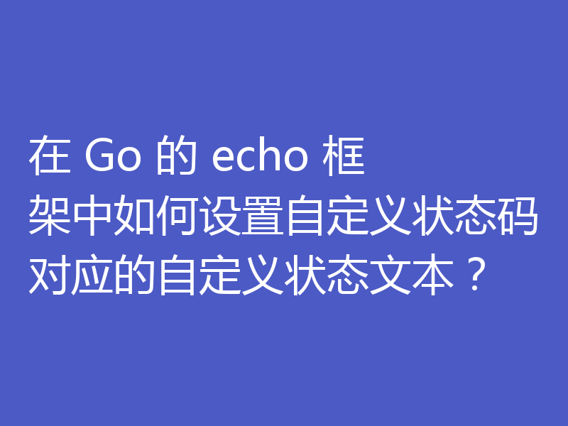 在 Go 的 echo 框架中如何设置自定义状态码对应的自定义状态文本？
