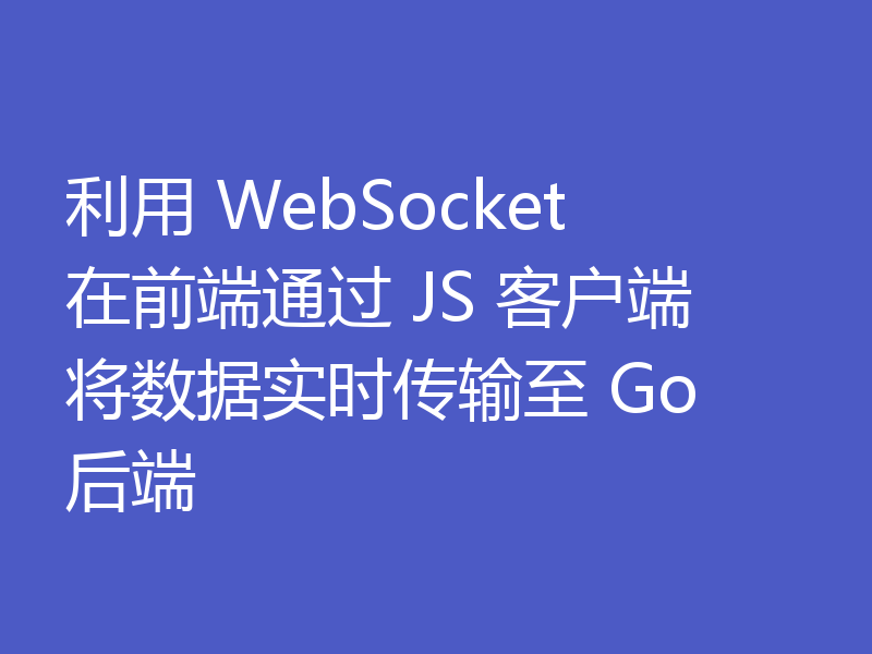 利用 WebSocket 在前端通过 JS 客户端将数据实时传输至 Go 后端