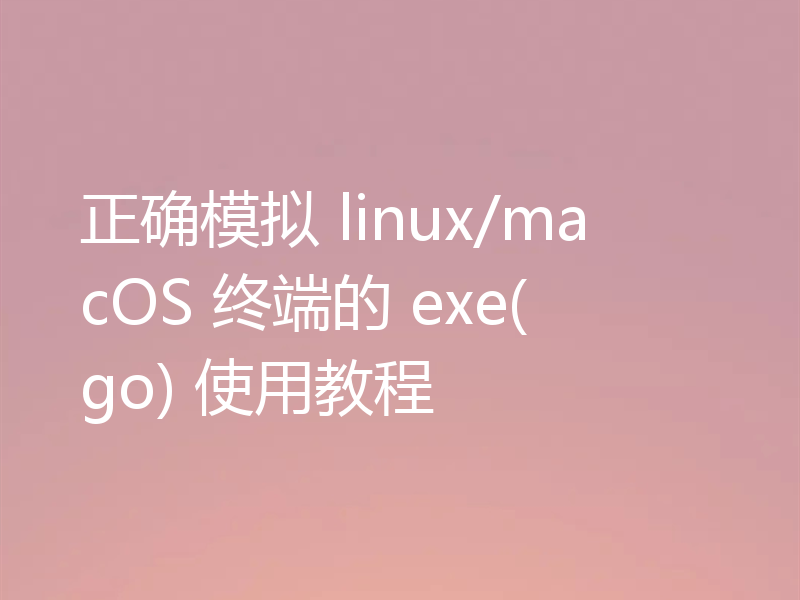 正确模拟 linux/macOS 终端的 exe(go) 使用教程