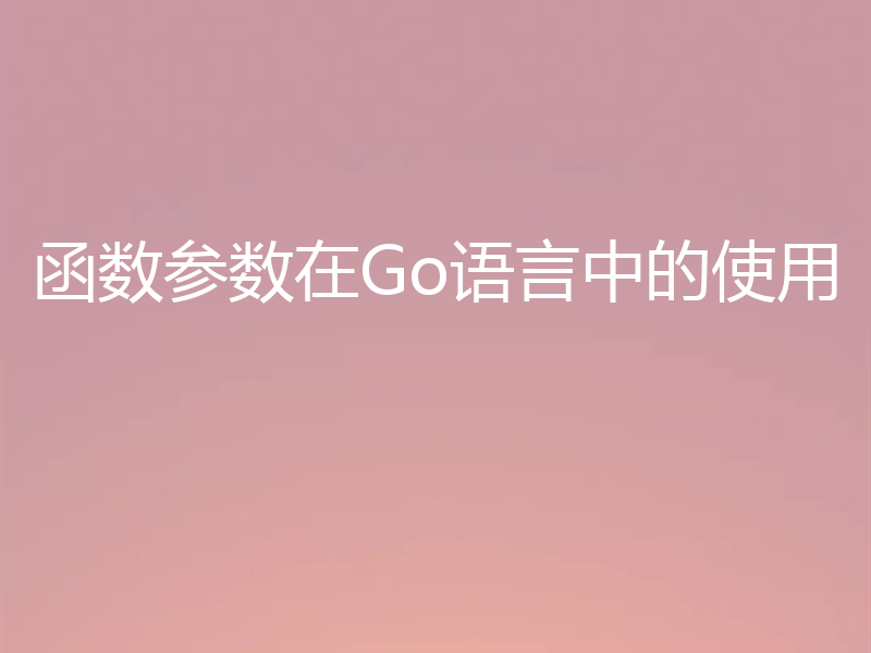 函数参数在Go语言中的使用