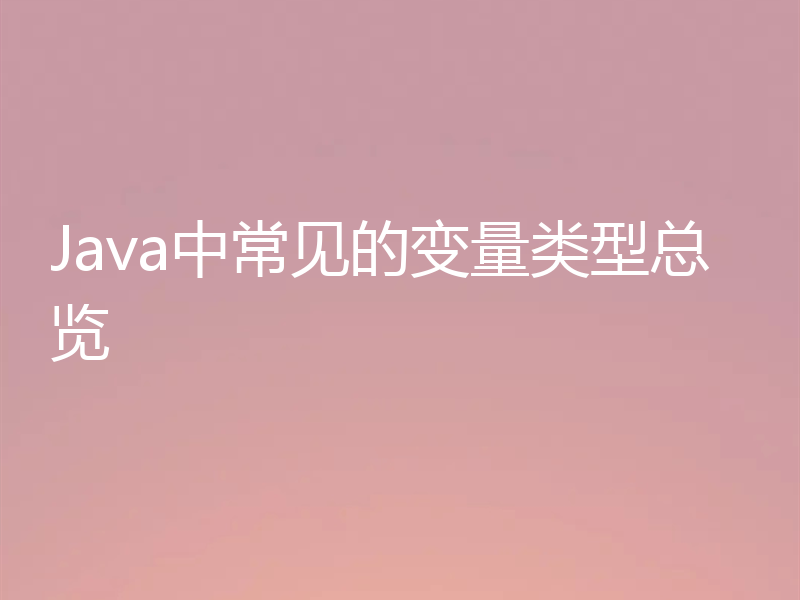 Java中常见的变量类型总览
