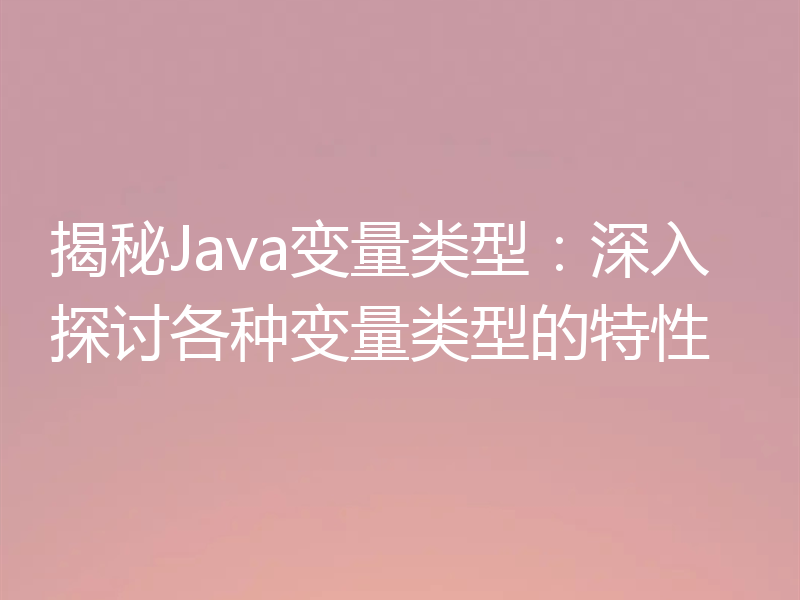 揭秘Java变量类型：深入探讨各种变量类型的特性