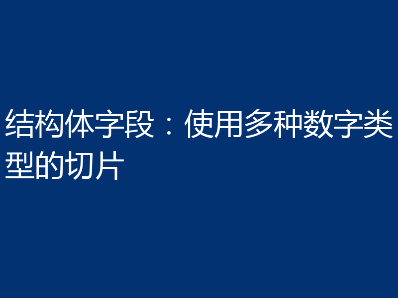结构体字段：使用多种数字类型的切片
