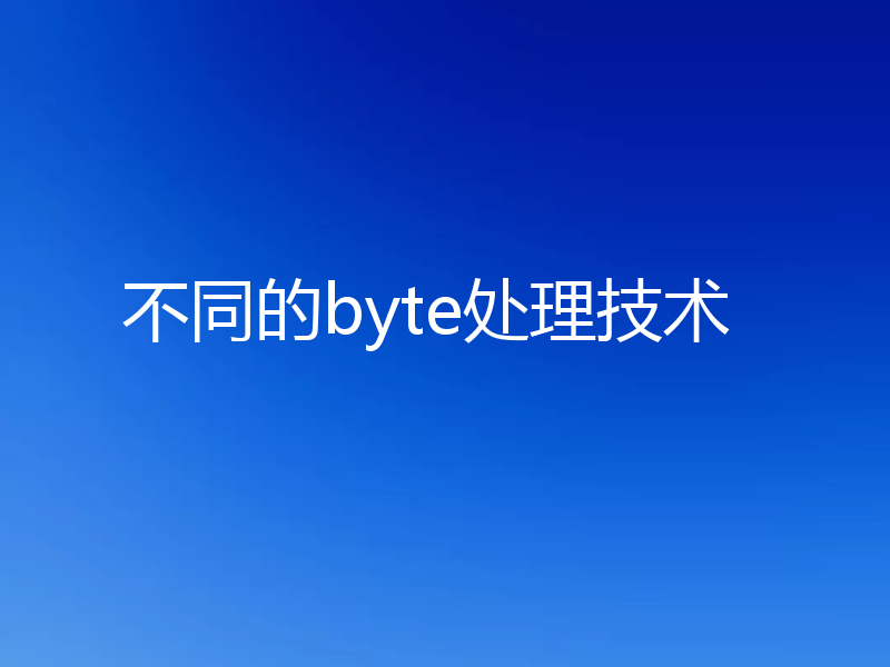 不同的byte处理技术