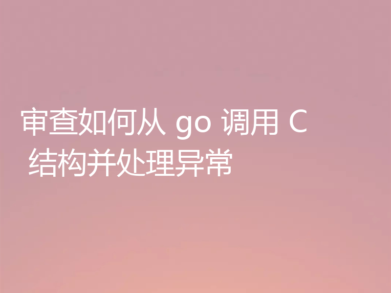 审查如何从 go 调用 C 结构并处理异常