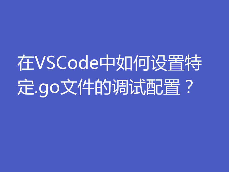 在VSCode中如何设置特定.go文件的调试配置？