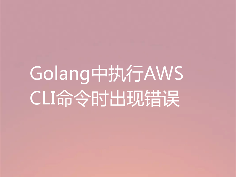 Golang中执行AWS CLI命令时出现错误