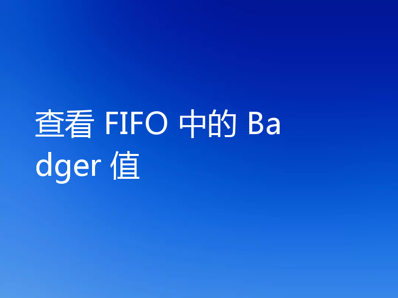 查看 FIFO 中的 Badger 值