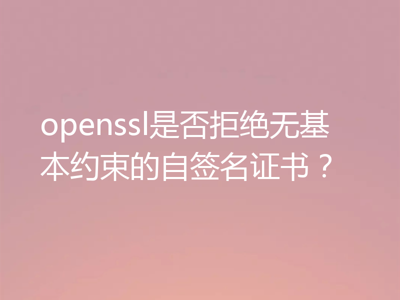 openssl是否拒绝无基本约束的自签名证书？