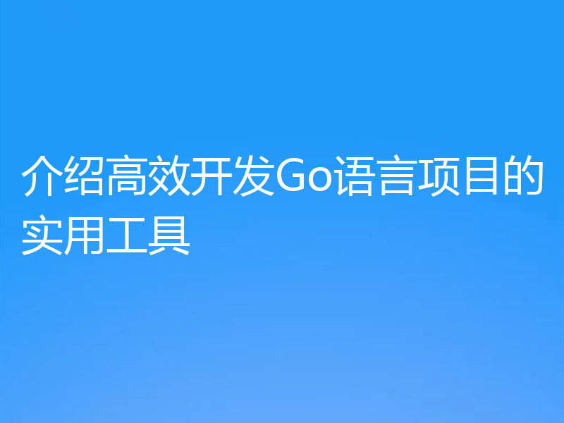 介绍高效开发Go语言项目的实用工具