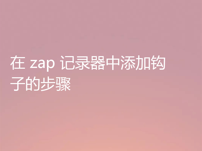 在 zap 记录器中添加钩子的步骤