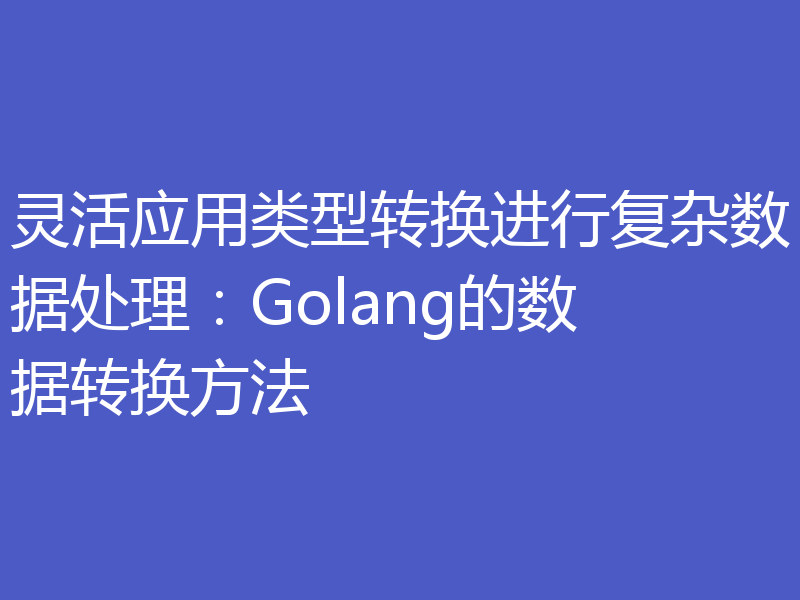 灵活应用类型转换进行复杂数据处理：Golang的数据转换方法