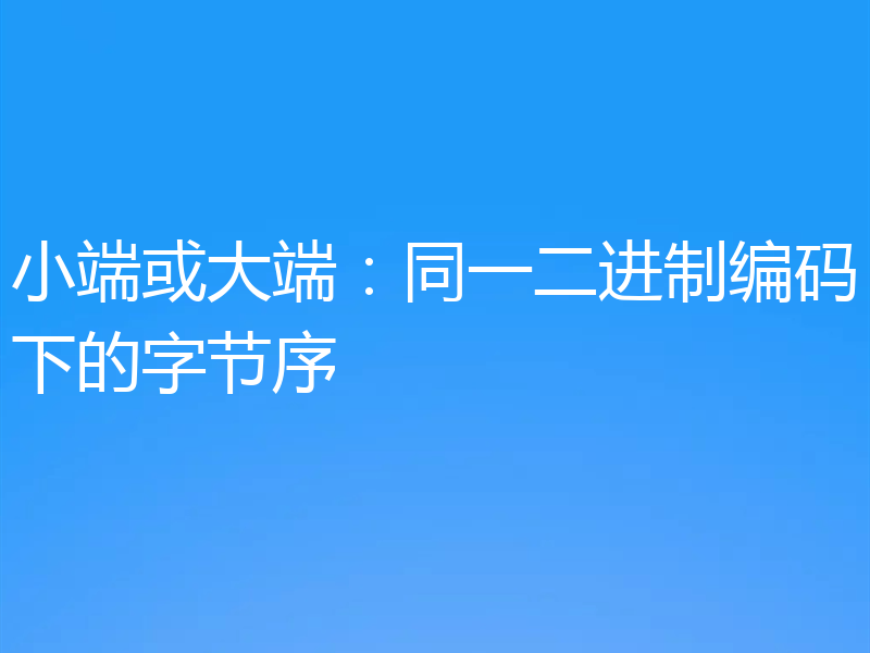 小端或大端：同一二进制编码下的字节序
