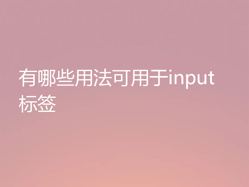 有哪些用法可用于input标签
