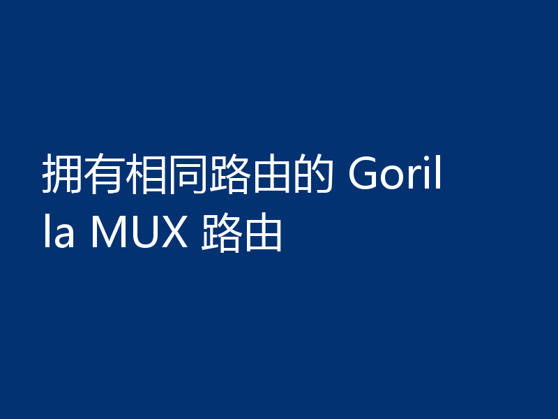 拥有相同路由的 Gorilla MUX 路由