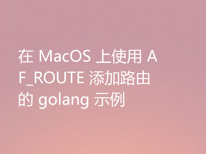 在 MacOS 上使用 AF_ROUTE 添加路由的 golang 示例