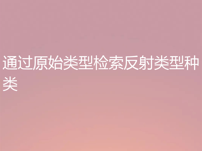 通过原始类型检索反射类型种类