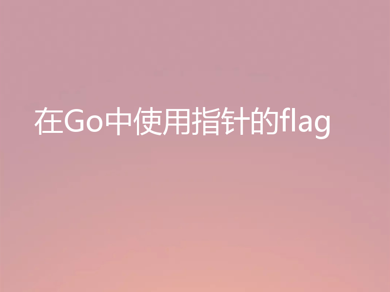 在Go中使用指针的flag