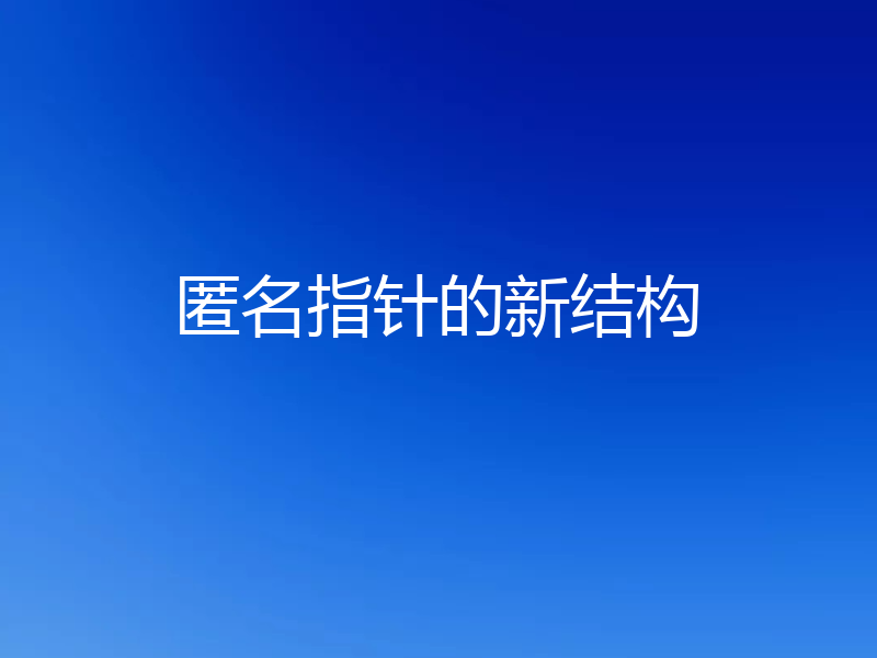 匿名指针的新结构