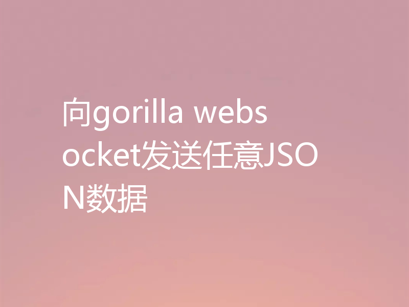 向gorilla websocket发送任意JSON数据