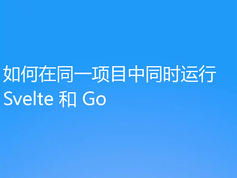 如何在同一项目中同时运行 Svelte 和 Go