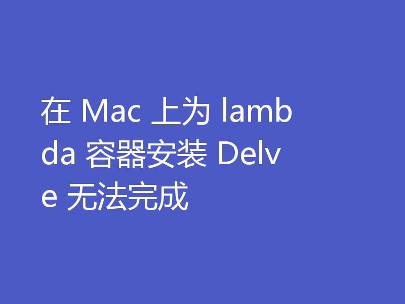 在 Mac 上为 lambda 容器安装 Delve 无法完成