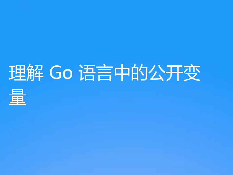 理解 Go 语言中的公开变量