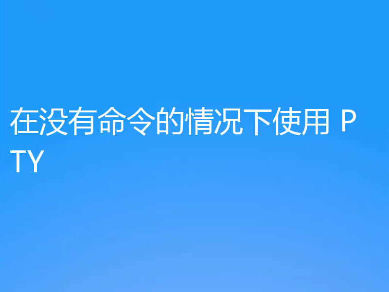 在没有命令的情况下使用 PTY