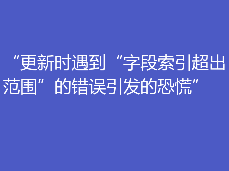 “更新时遇到“字段索引超出范围”的错误引发的恐慌”