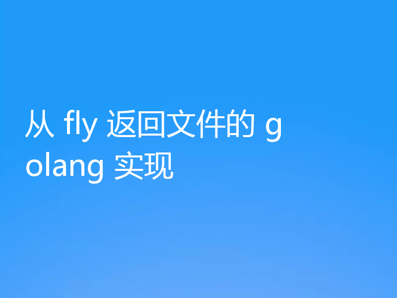 从 fly 返回文件的 golang 实现
