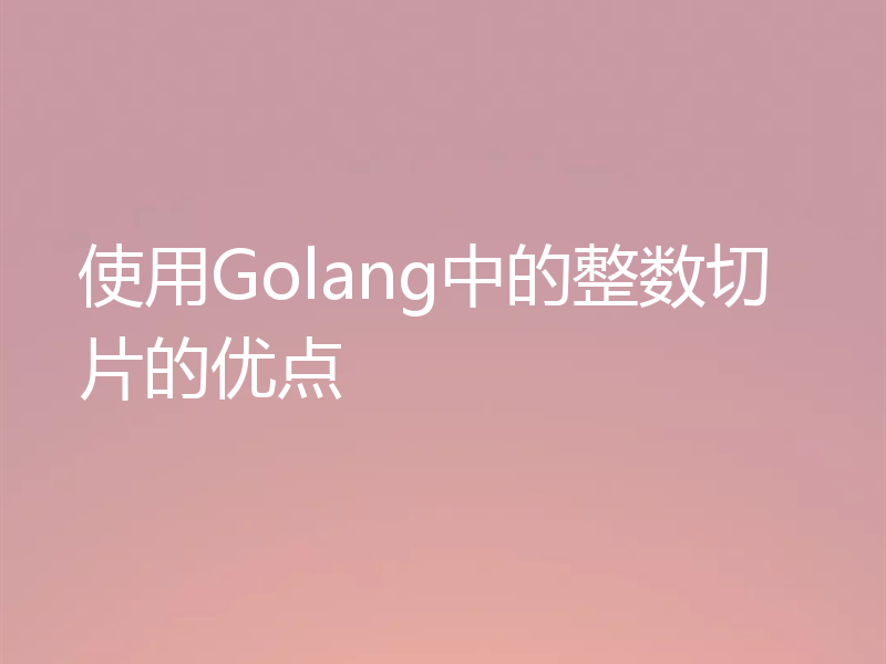 使用Golang中的整数切片的优点