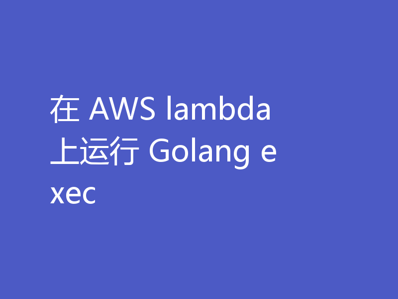 在 AWS lambda 上运行 Golang exec