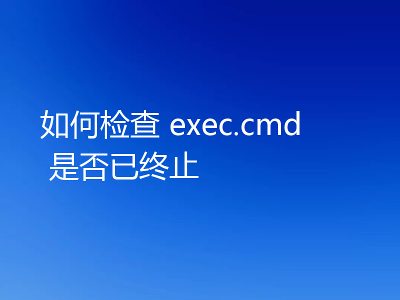 如何检查 exec.cmd 是否已终止