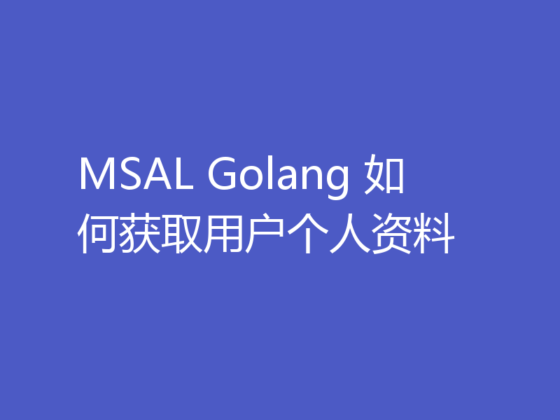MSAL Golang 如何获取用户个人资料