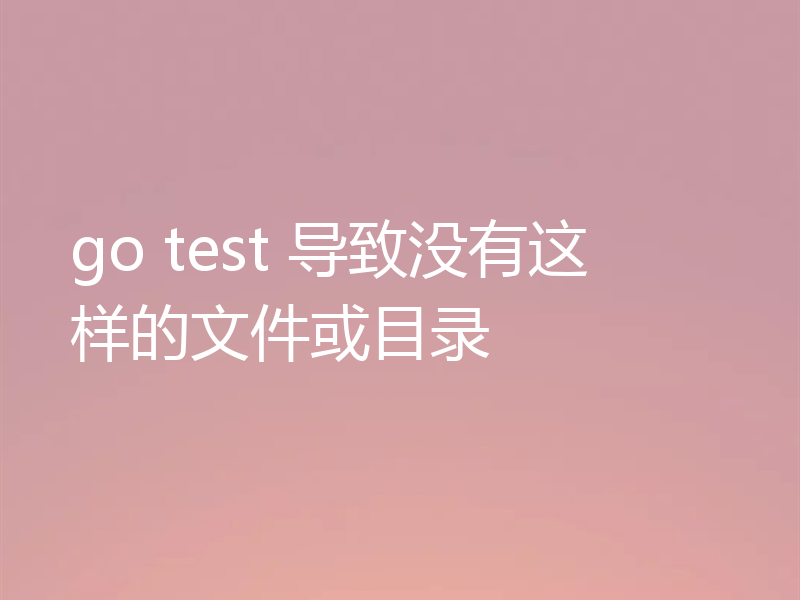 go test 导致没有这样的文件或目录