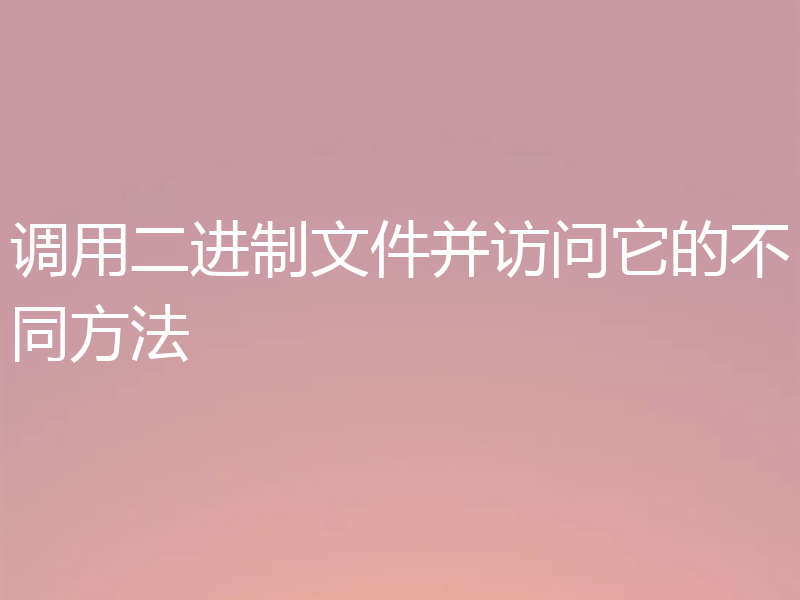 调用二进制文件并访问它的不同方法