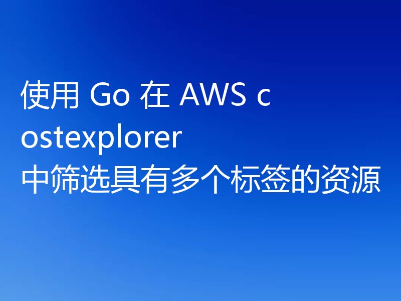 使用 Go 在 AWS costexplorer 中筛选具有多个标签的资源