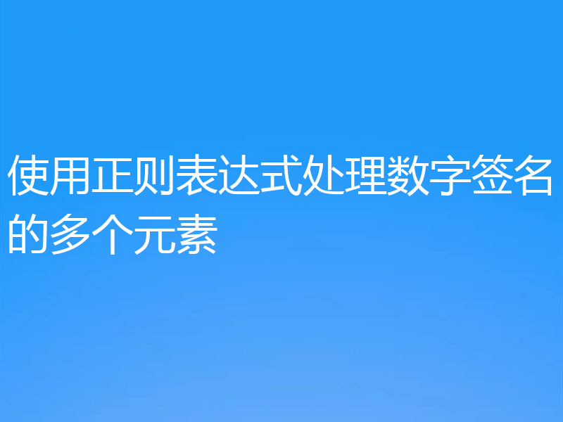 使用正则表达式处理数字签名的多个元素
