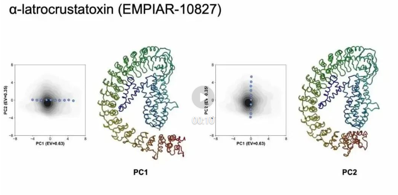 ByteDance Research登Nature子刊:AI+冷冻电镜,揭示蛋白质动态