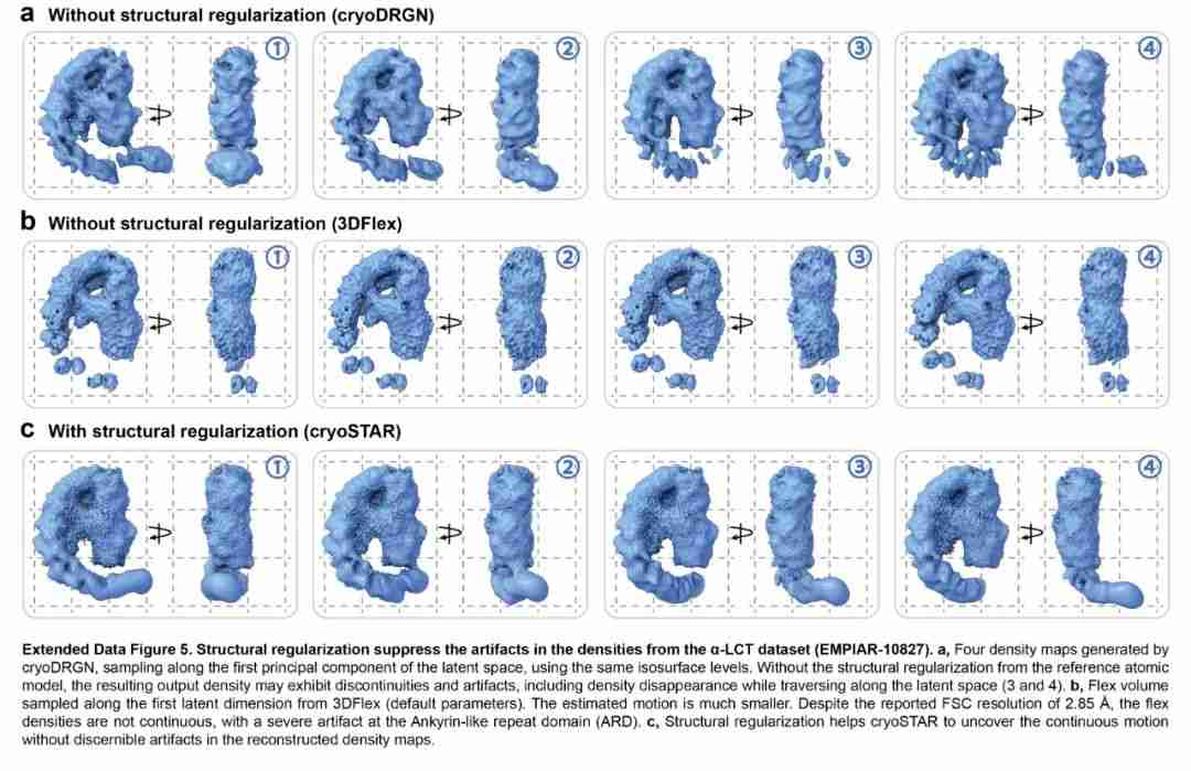 ByteDance Research登Nature子刊:AI+冷冻电镜,揭示蛋白质动态
